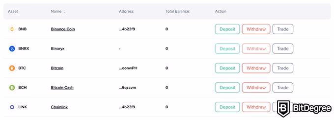 Binaryx review: wallet interface.
